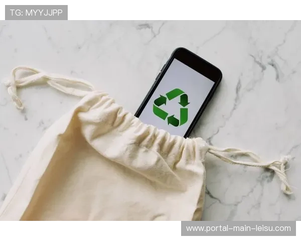 循环经济原则指导赛事物资回收与再利用 循环经济原则指导赛事物资回收与再利用